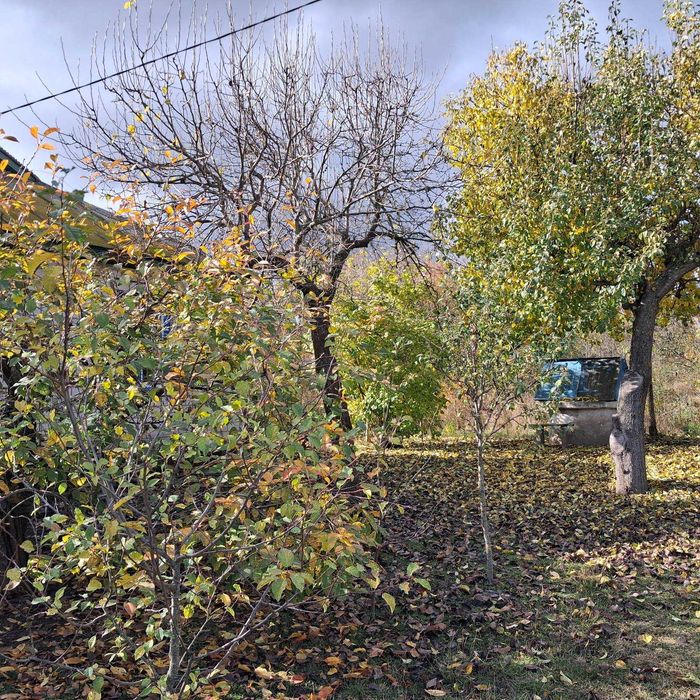 Розкіш Тиші: На Продаж Виставлено Заміський Будинок