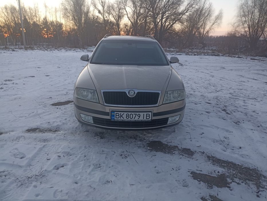 Шкода Октавія а5
