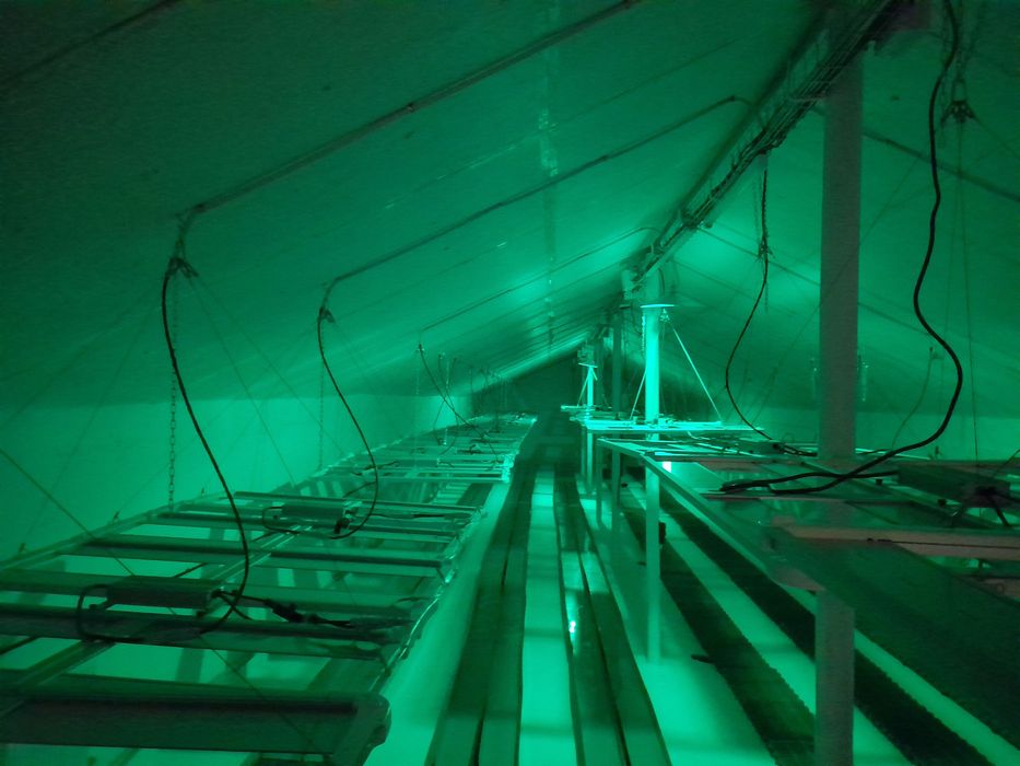 Квіткарі та флористи орендa теплиці це сучаснa комерційнa нерухомість