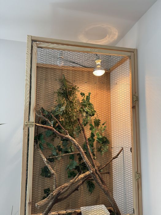 Sprzedam terrarium 54x88x152