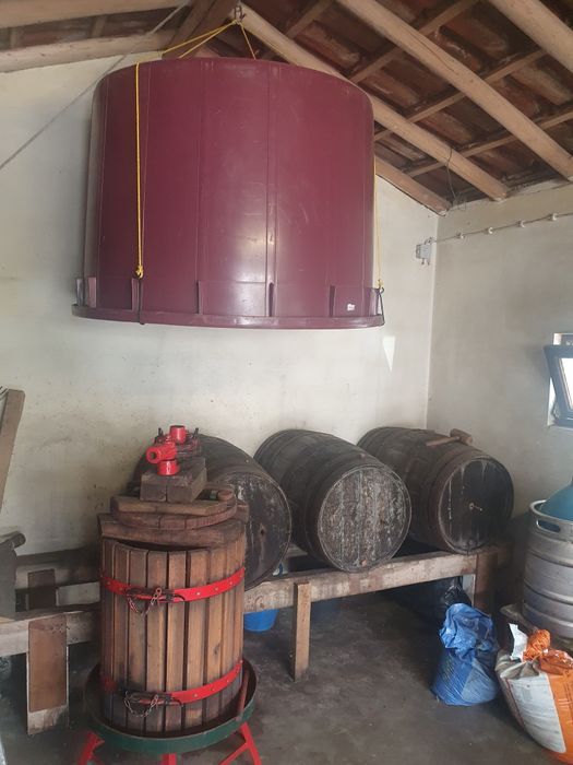 Prensa para vinho e Tina para uvas