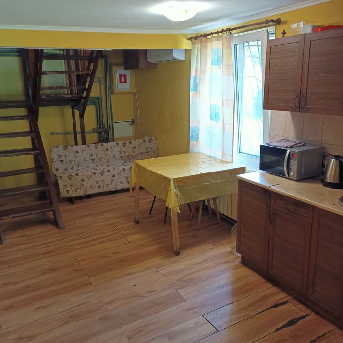 Аренда дома  Новый Год  Русановские сады