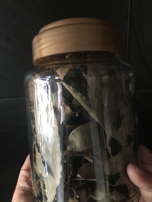 Plantas aromaticas desidratadas, temperos e chas