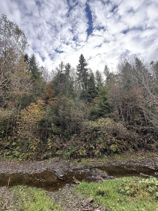 Продається ділянка у с. Подобовець гори Карпати