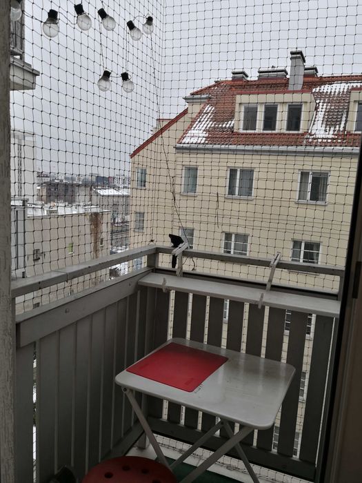mieszkanie do wynajęcia