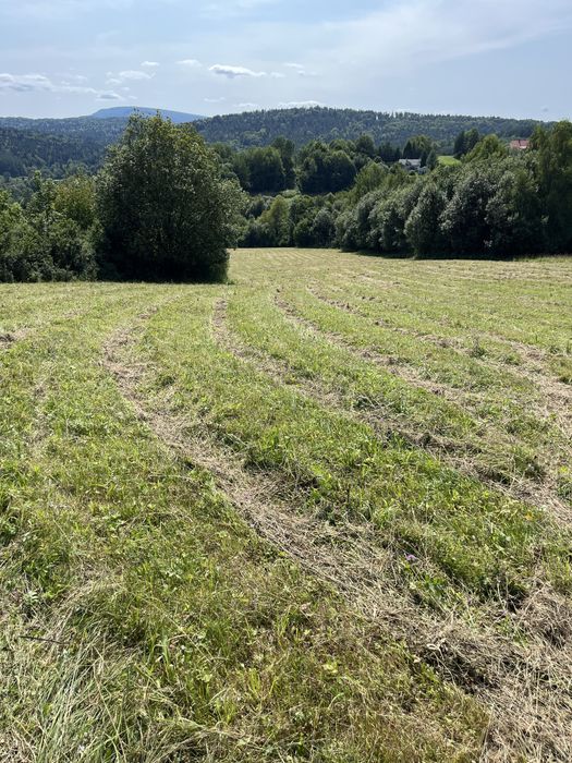 Działka w Bieszczadach.