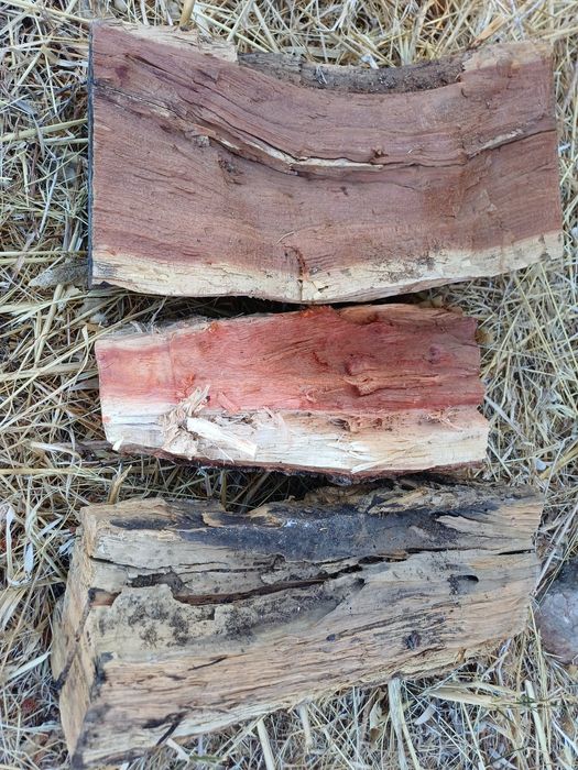 Lenha seca qualidade