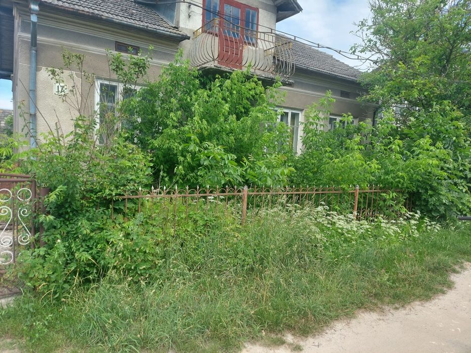 Косіння трави, професійна чистка ділянки від  чагарників