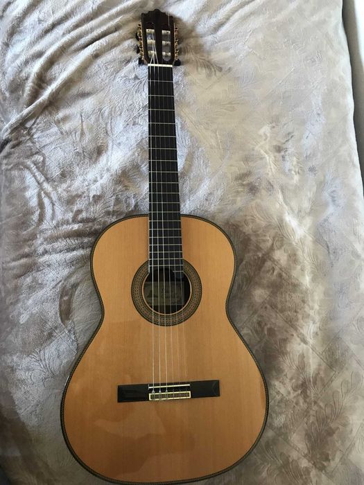 Guitarra Clássica Paco Castilho 205 c/ Caixa Gator Rígida