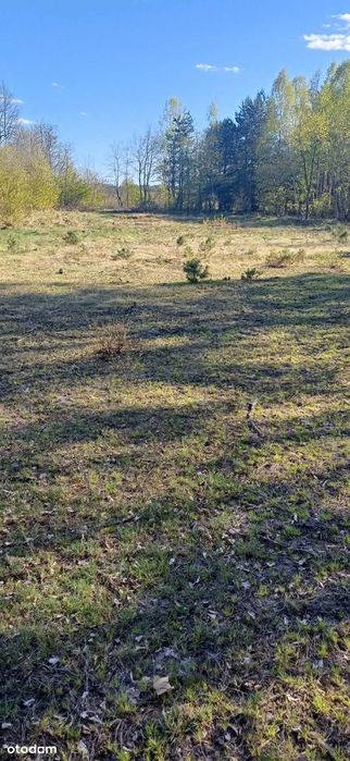 Działka budowlana w Sójki gmina Klonowa - Widok 3