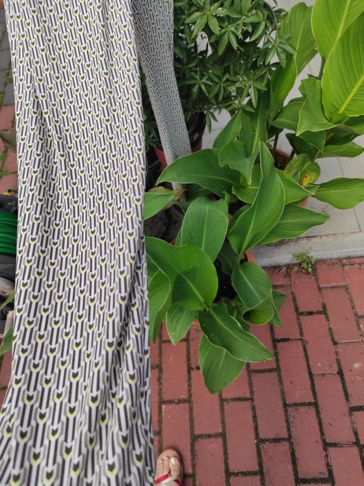 Piękny kombinezon letni JBC