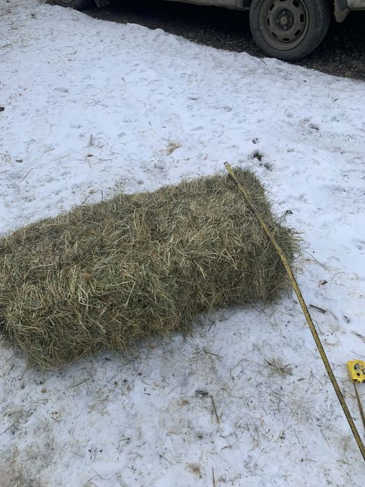 Сіно лугове/ тюк  / трава/ отава/різнотрав‘я