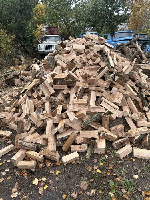 Продам дрова твердих порід