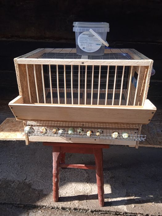 Клітка на 10 перепілок