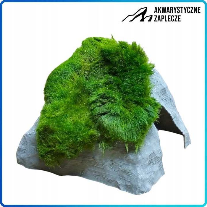 Kryjówka dla krewetek pokryta Gałęzatką -Ozdoba do akwarium Skała