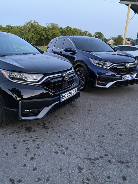 Весільний кортеж Тернопіль. Перевезення по західній Україні.