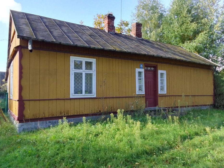 Wynajmę gospodarstwo rolne/ Siedlisko/ Budynki gospodarcze/ garaże  Złaków Borowy k. Łowicza