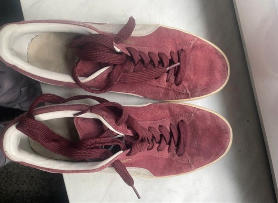 Oryginalne buty damskie puma zamszowe