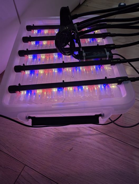 Lampa do roślin Mini Growbox 5xLED – Gotowy system.LED Grow Light 5 głowic Full Spectrum + Timer