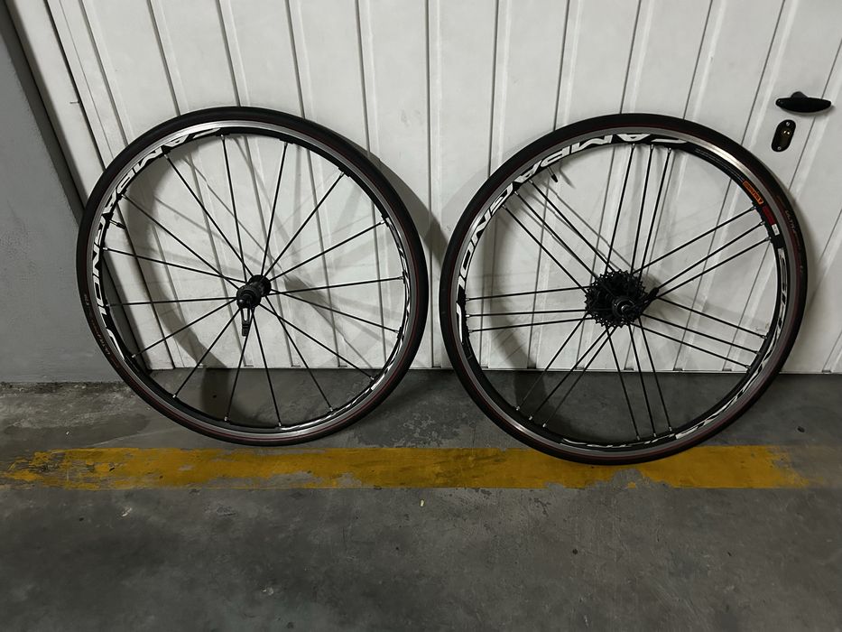 Rodas Campagnolo shamal ultra