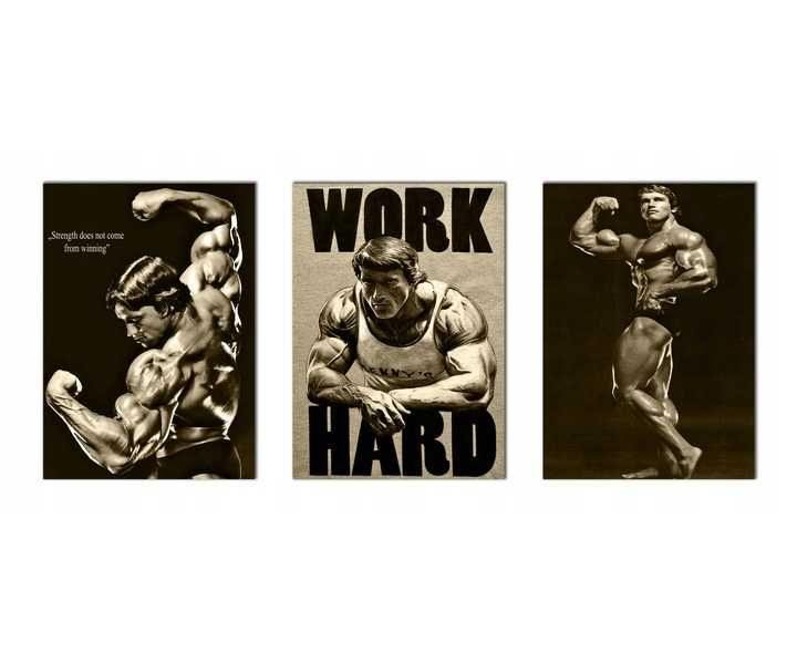 Zestaw 3 Plakatów Na Ściane - Arnold Schwarzenegger Fitness Siłownia