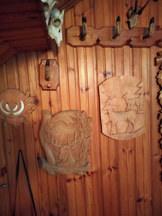 Poroża  i deski myśliwskie i inne