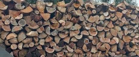 lenha de vários tipos