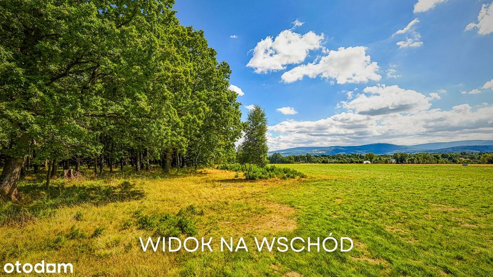 Zdjęcie 6
