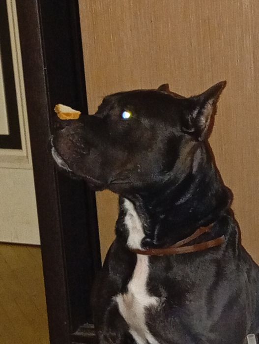 Для Вязкі Хлопчік