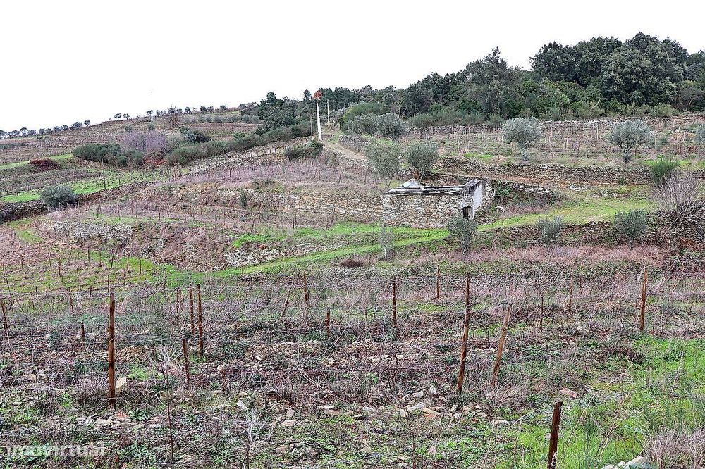 Quinta  para venda