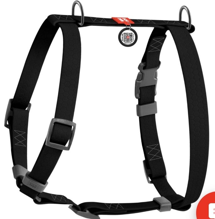 Поводок та шлея