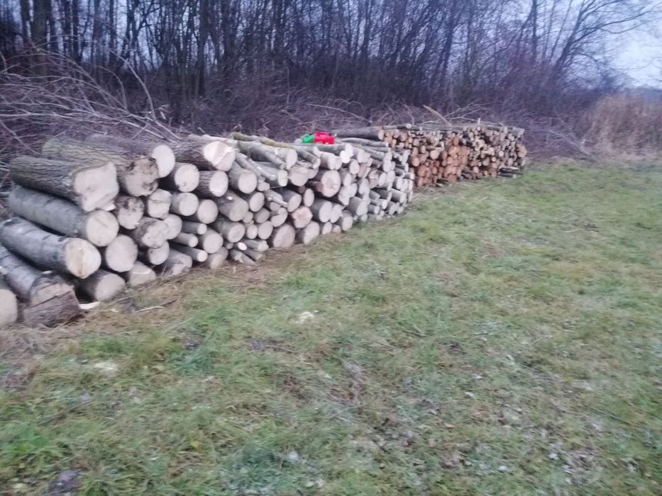 Drewno drzewo opałowe