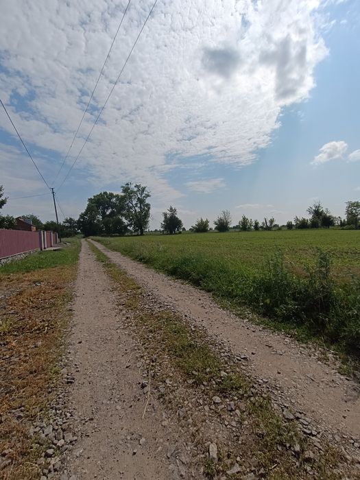 Продається гарна рівна ділянка в Гавришівці