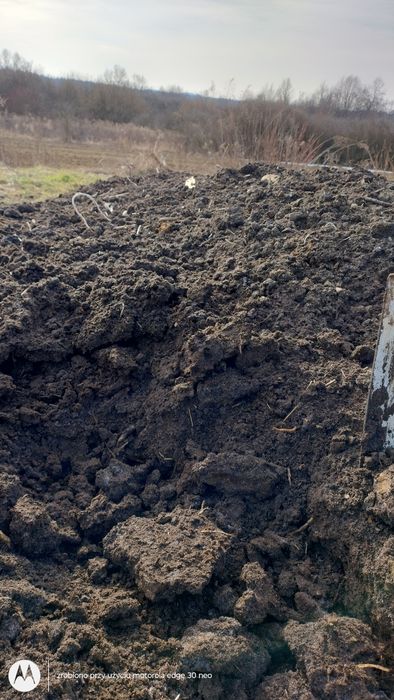 Obornik przekompostowany . Ziemia ,kompost,