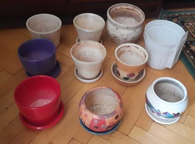 Горщіки Квіти Кротон Фікус Пеперомія