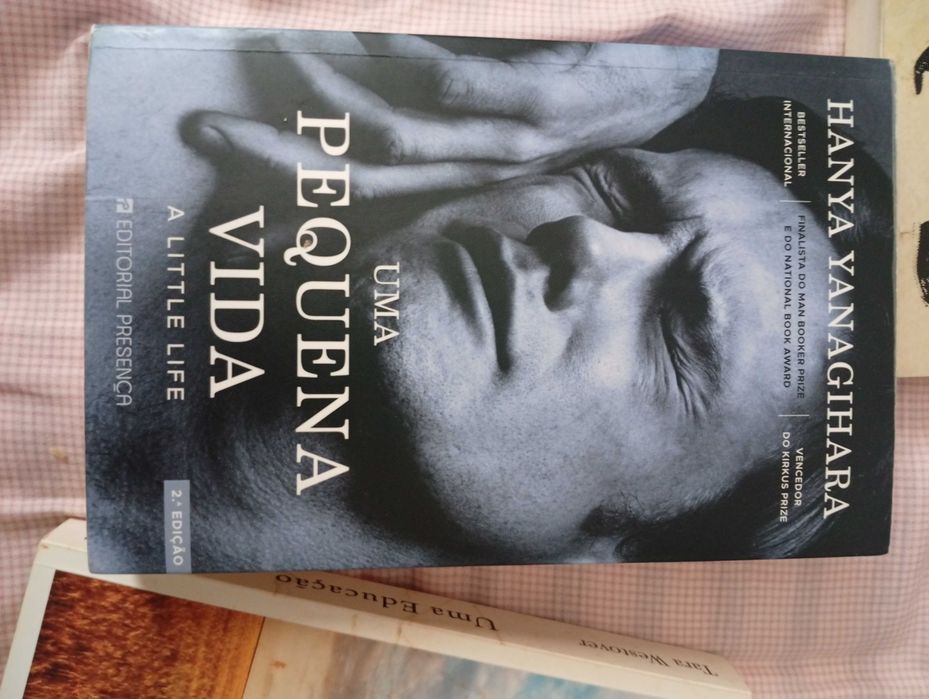 Vendo este lote de livros