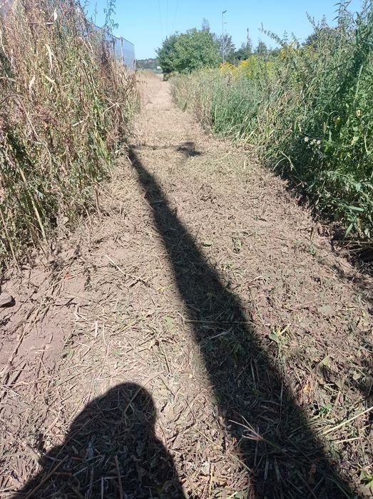 Frezowanie Pni Mulczer koszenie frezarka czyszczenie dzialek!