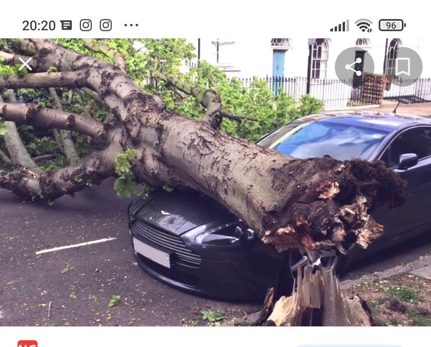 Распилю заберу упавшее дерево на дрова самовывоз