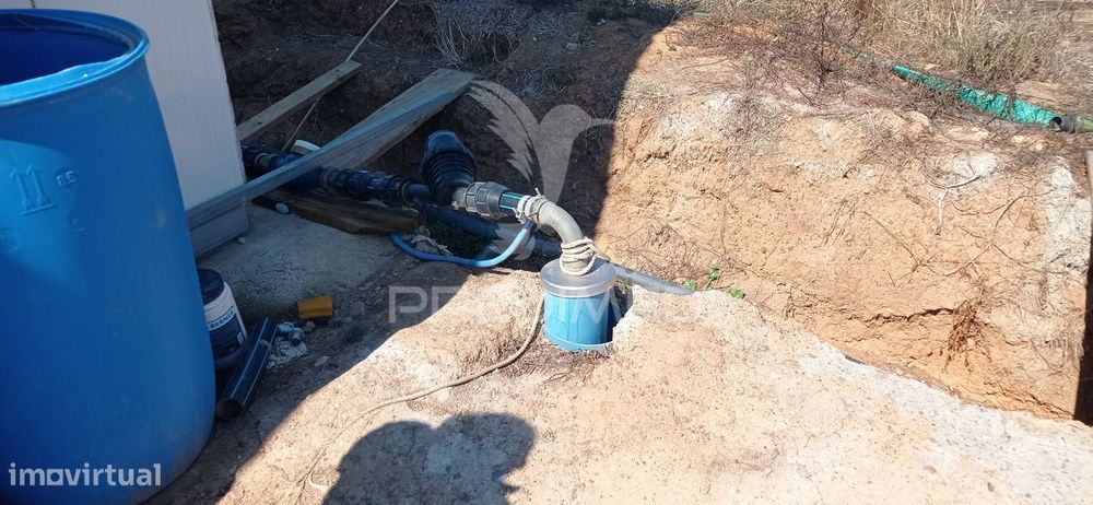Olival Super Intensivo de 5,9ha à venda em Cano- Sousel
