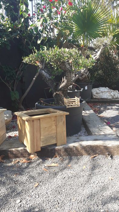 Bonitos vasos de madeira para interior e exterior