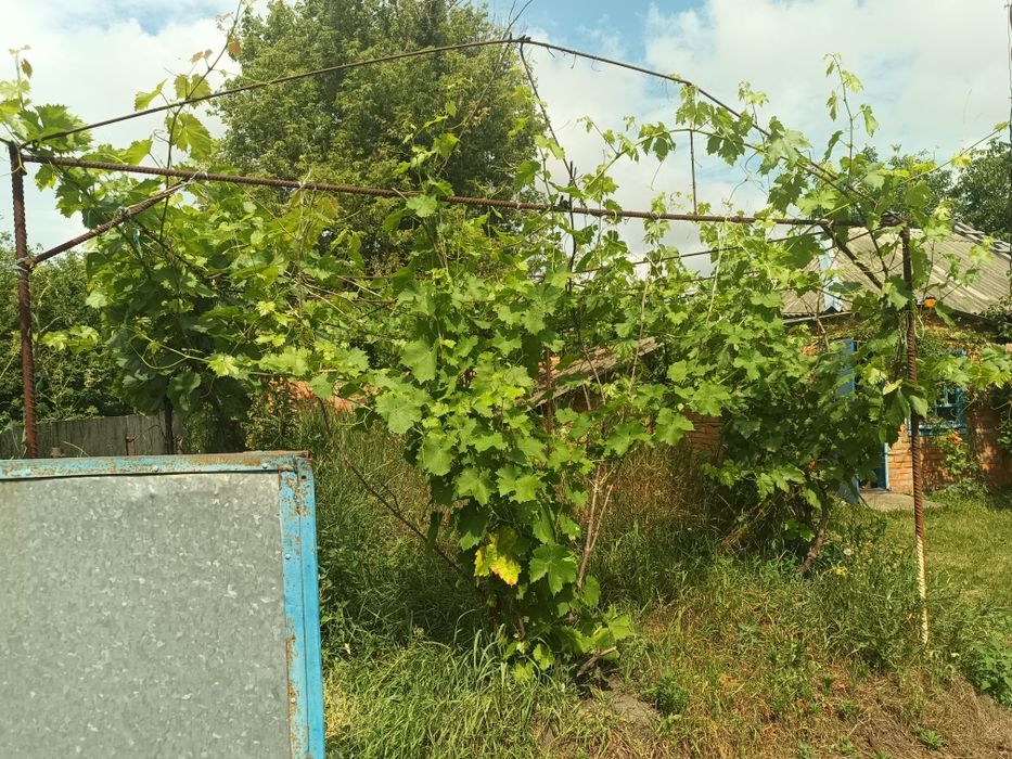Продам будинок з участком