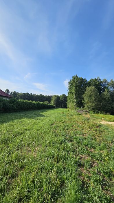 Działka budowlano-leśna 2338 m² Brzeszcze ul. Bór - Widok 2