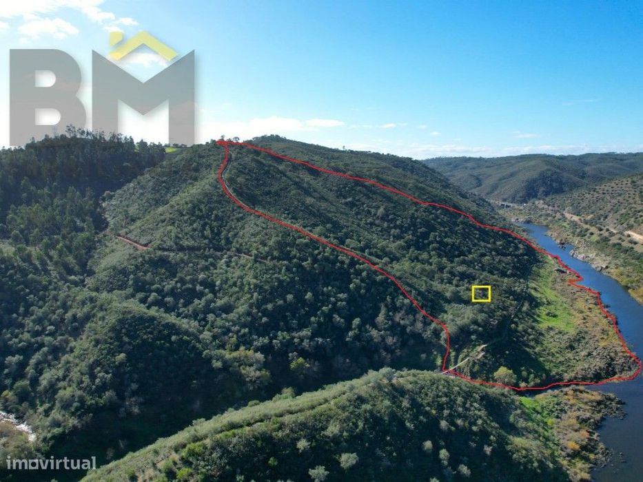 Terreno de 16,75hectares com ruina | Junto ao Rio Tejo