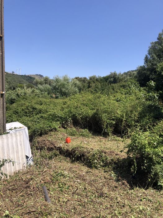 Corte Arvores e Limpeza Terrenos