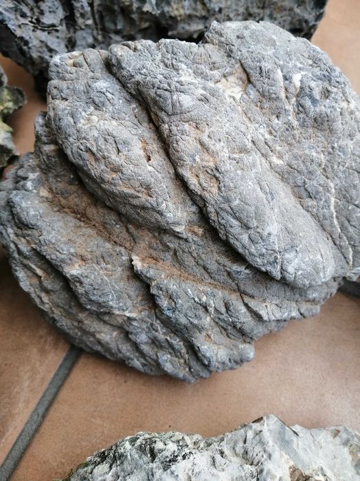 Canyon Ryohux aquascaping