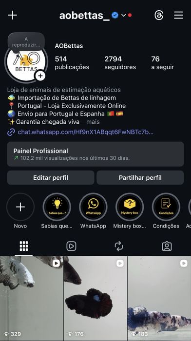 Diversidade de Bettas importados