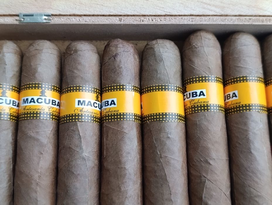 Caixa com de charutos Macuba