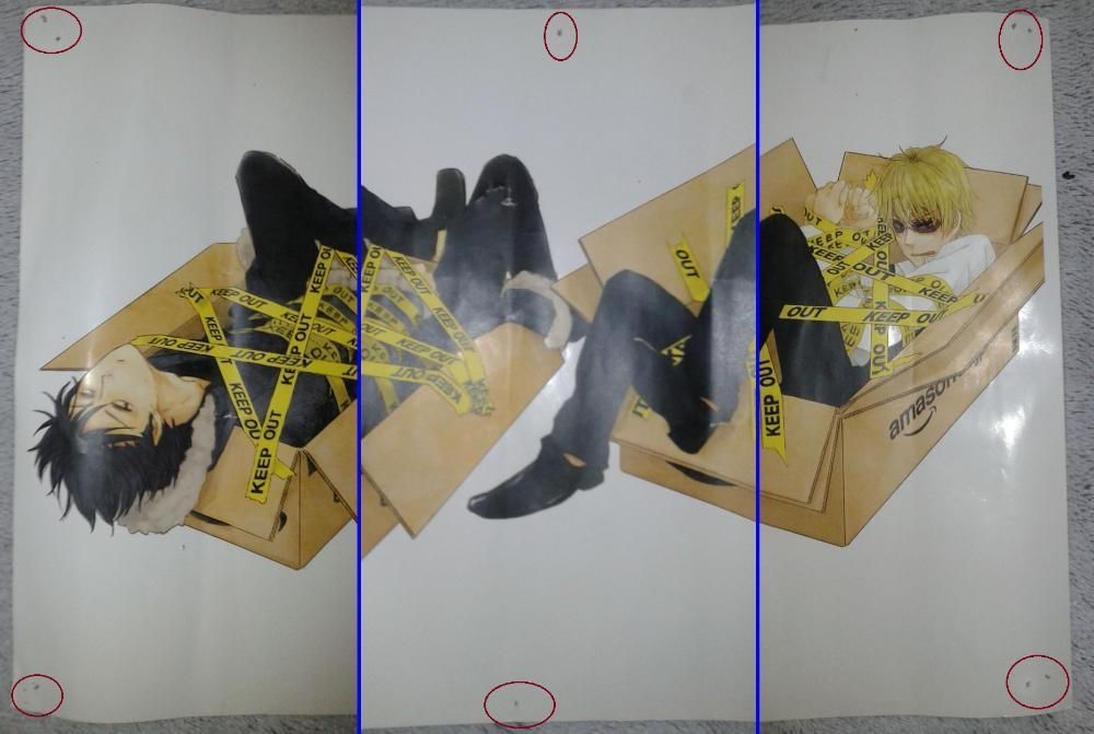 Plakat: 2xDurarara i Pandora Hearts /Anime, Manga, Otaku