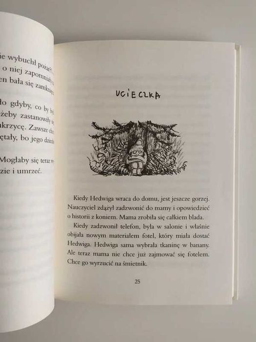 Hedwiga, Frida Nilsson