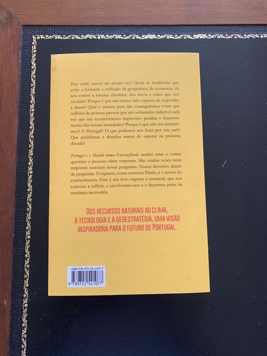 Livro -Portugal e o Mundo numa encruzilhada - actual e polémico